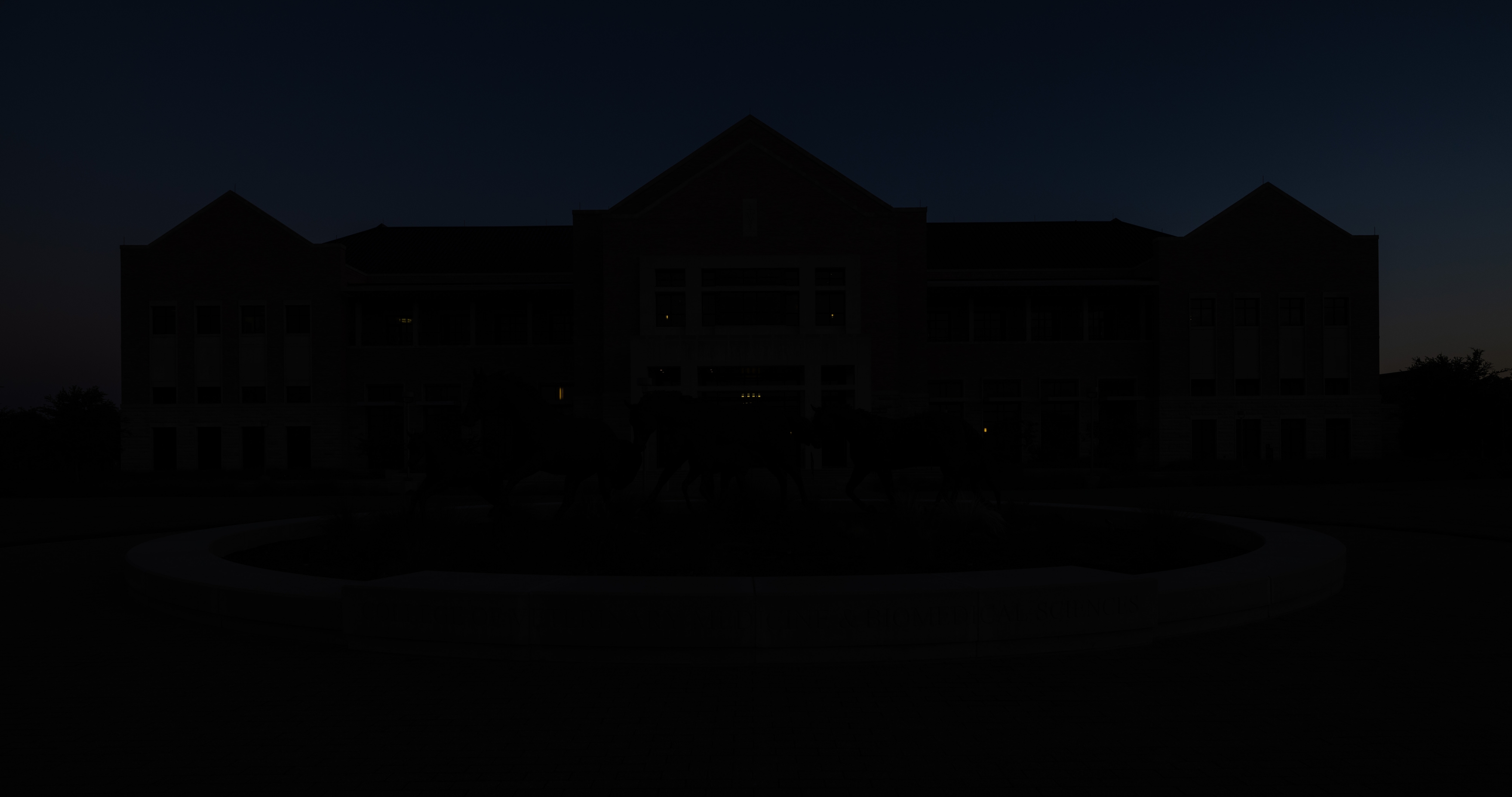 审查视频“class=